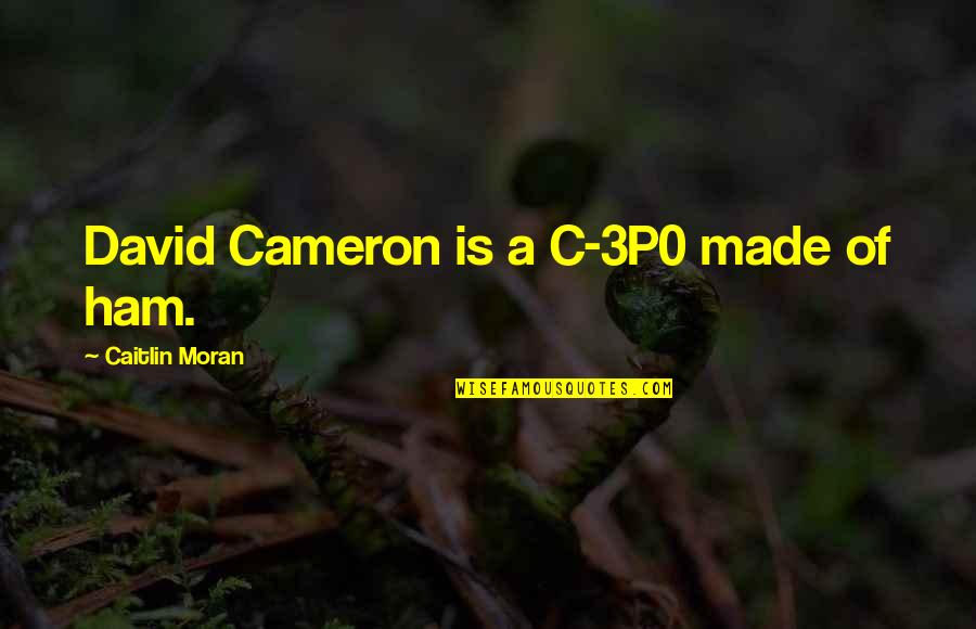 Charactery Quotes By Caitlin Moran: David Cameron is a C-3P0 made of ham.