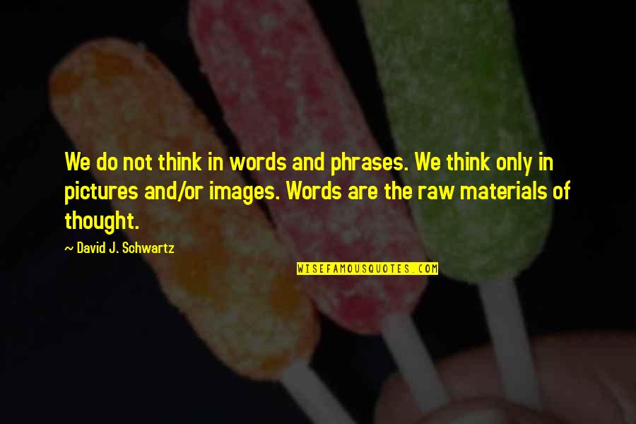 Charalatanism Quotes By David J. Schwartz: We do not think in words and phrases.