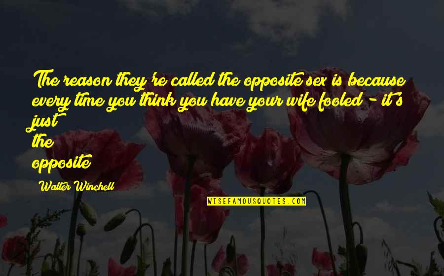 Charapa Quotes By Walter Winchell: The reason they're called the opposite sex is Charapa Quotes By Walter Winchell: The reason they're called the opposite sex is