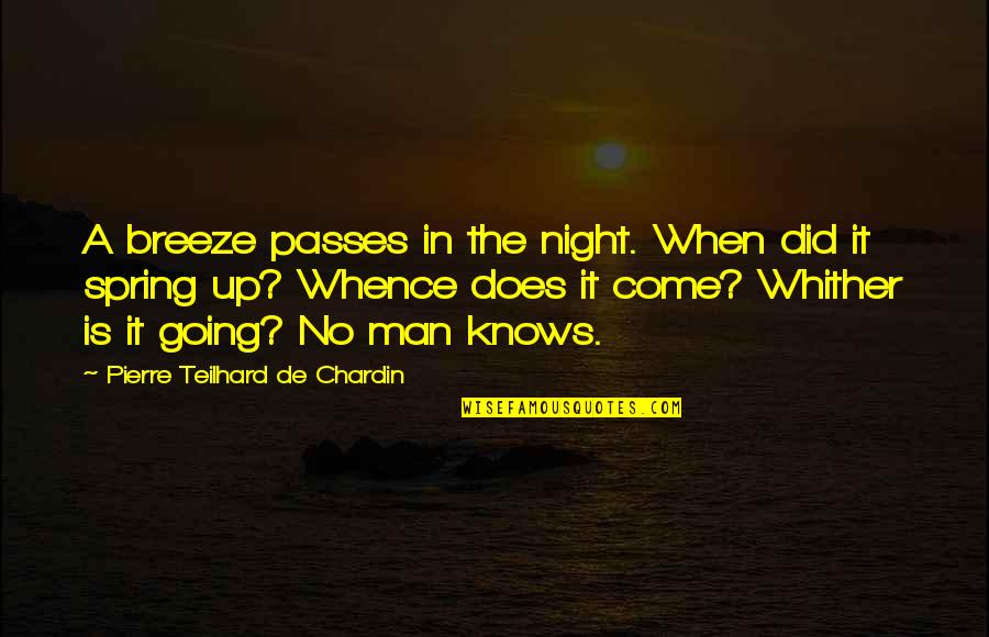 Chardin Quotes By Pierre Teilhard De Chardin: A breeze passes in the night. When did