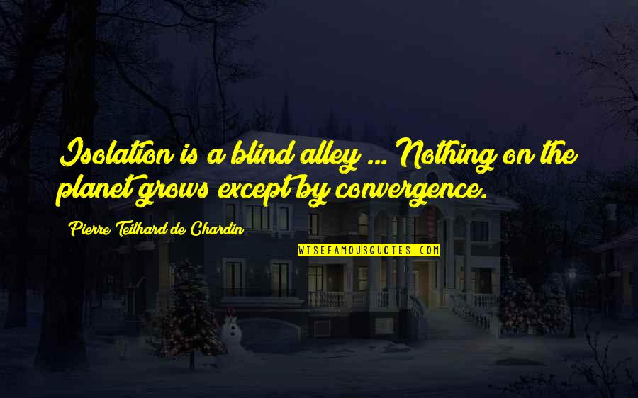 Chardin Teilhard Quotes By Pierre Teilhard De Chardin: Isolation is a blind alley ... Nothing on