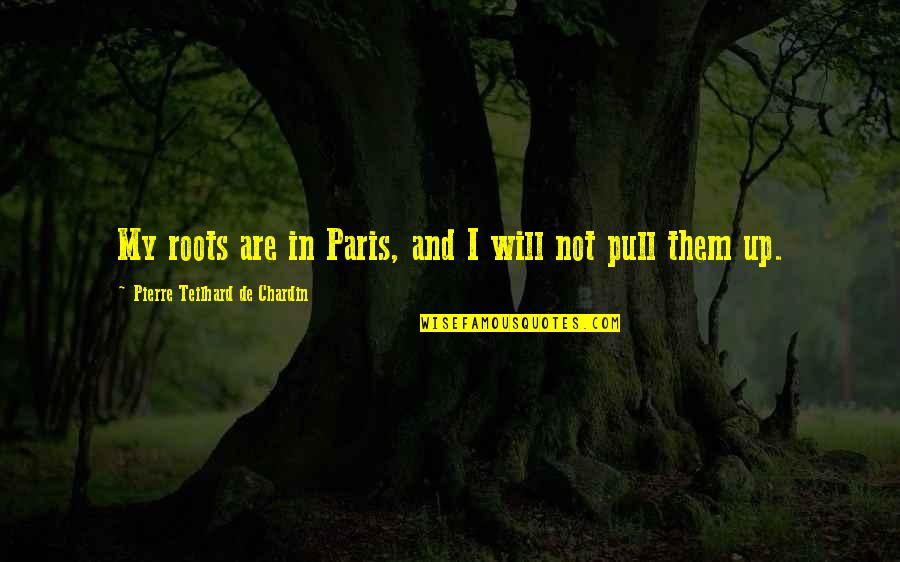 Chardin Teilhard Quotes By Pierre Teilhard De Chardin: My roots are in Paris, and I will