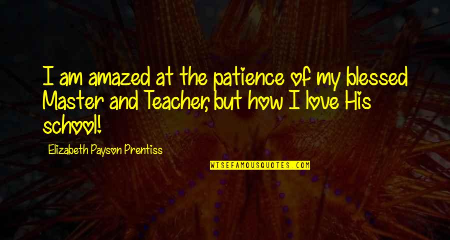 Chards Building Quotes By Elizabeth Payson Prentiss: I am amazed at the patience of my