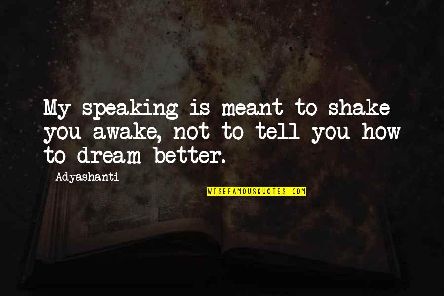 Chareka Paillart Quotes By Adyashanti: My speaking is meant to shake you awake,