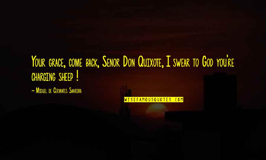 Charging Up Quotes By Miguel De Cervantes Saavedra: Your grace, come back, Senor Don Quixote, I Charging Up Quotes By Miguel De Cervantes Saavedra: Your grace, come back, Senor Don Quixote, I