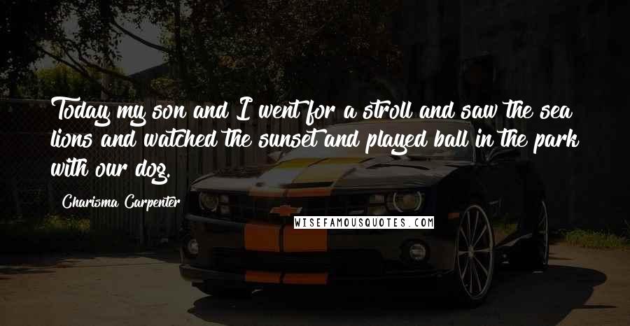 Charisma Carpenter quotes: Today my son and I went for a stroll and saw the sea lions and watched the sunset and played ball in the park with our dog.