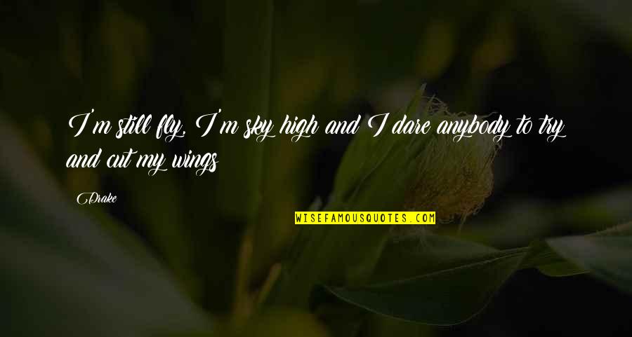 Charitat Vne Quotes By Drake: I'm still fly, I'm sky high and I