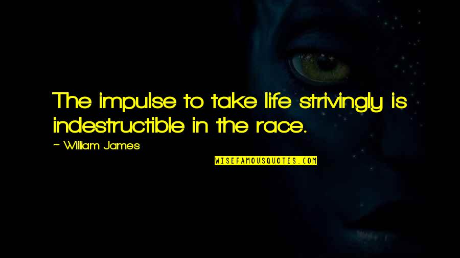 Charity From The Bible Quotes By William James: The impulse to take life strivingly is indestructible