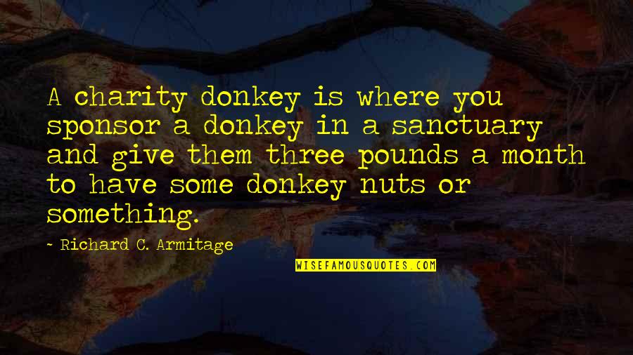 Charity Sponsor Quotes By Richard C. Armitage: A charity donkey is where you sponsor a