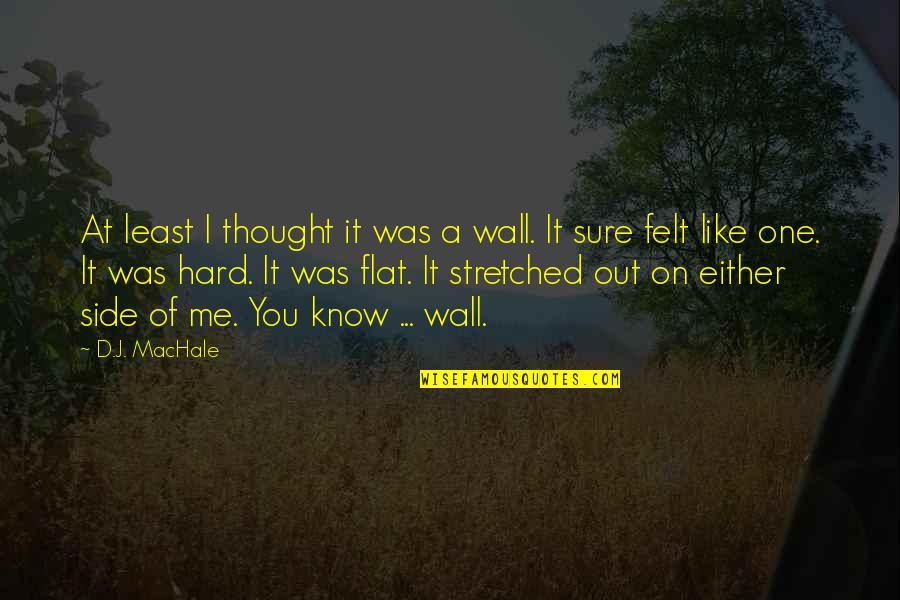 Charlene Sweeney It Quotes By D.J. MacHale: At least I thought it was a wall. Charlene Sweeney It Quotes By D.J. MacHale: At least I thought it was a wall.