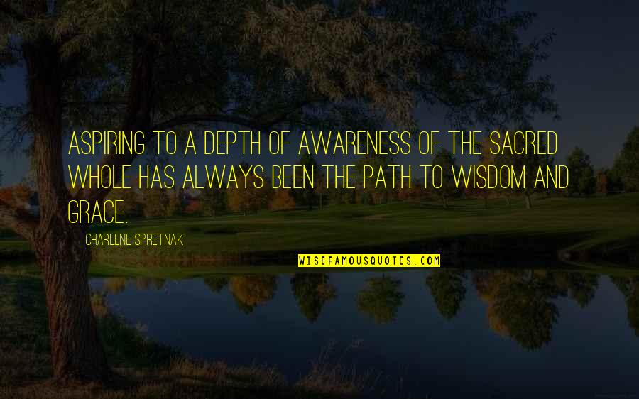 Charlene's Quotes By Charlene Spretnak: Aspiring to a depth of awareness of the