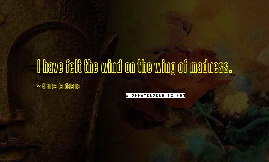 Charles Baudelaire quotes: I have felt the wind on the wing of madness.