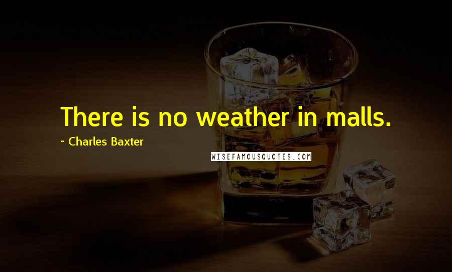 Charles Baxter quotes: There is no weather in malls.