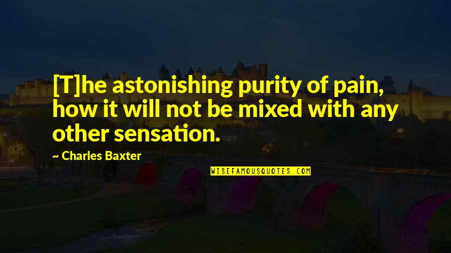 Charles Baxter Quotes By Charles Baxter: [T]he astonishing purity of pain, how it will