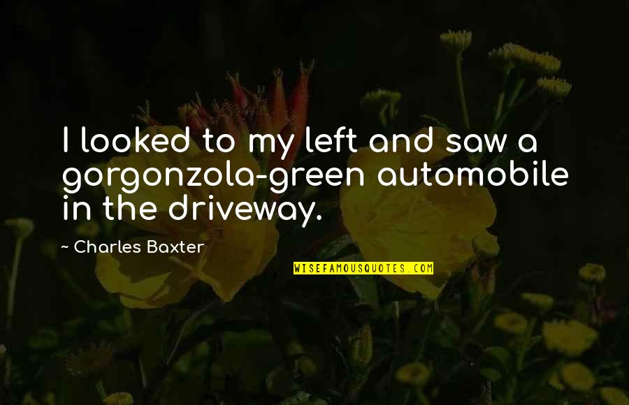 Charles Baxter Quotes By Charles Baxter: I looked to my left and saw a