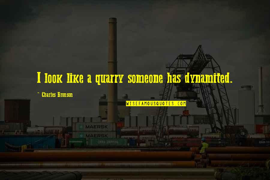 Charles Bronson Quotes By Charles Bronson: I look like a quarry someone has dynamited.
