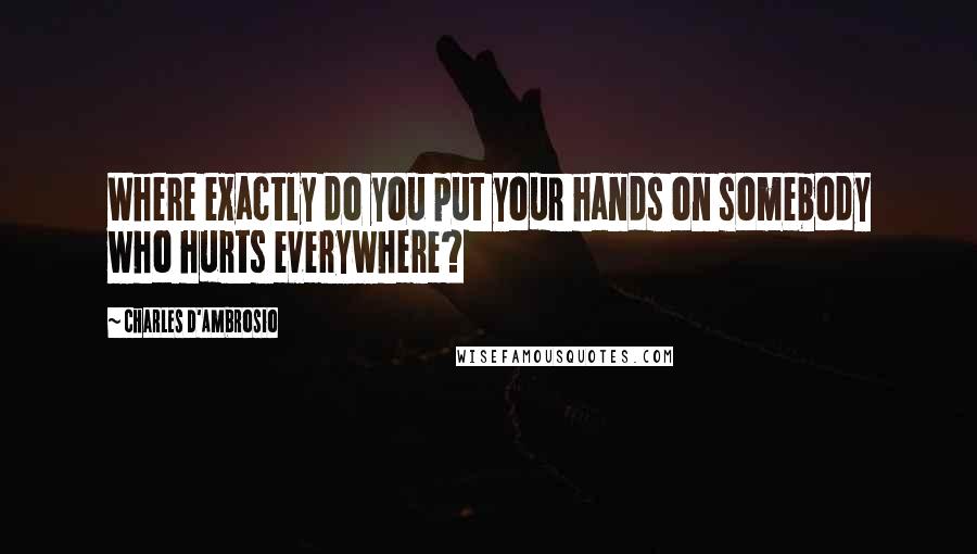 Charles D'Ambrosio quotes: Where exactly do you put your hands on somebody who hurts everywhere?