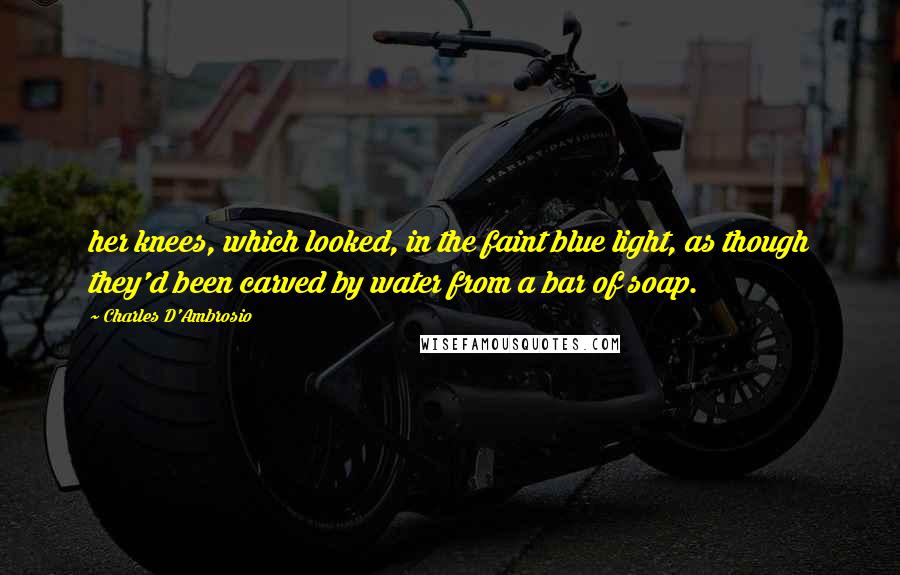 Charles D'Ambrosio quotes: her knees, which looked, in the faint blue light, as though they'd been carved by water from a bar of soap. Charles D'Ambrosio quotes: her knees, which looked, in the faint blue light, as though they'd been carved by water from a bar of soap.