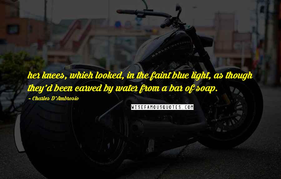 Charles D'Ambrosio quotes: her knees, which looked, in the faint blue light, as though they'd been carved by water from a bar of soap.