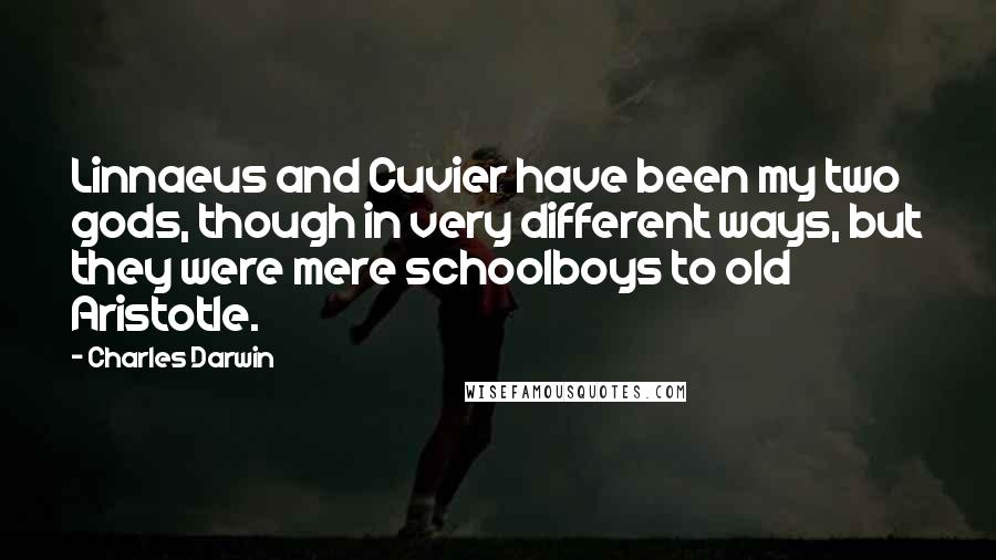 Charles Darwin quotes: Linnaeus and Cuvier have been my two gods, though in very different ways, but they were mere schoolboys to old Aristotle. Charles Darwin quotes: Linnaeus and Cuvier have been my two gods, though in very different ways, but they were mere schoolboys to old Aristotle.