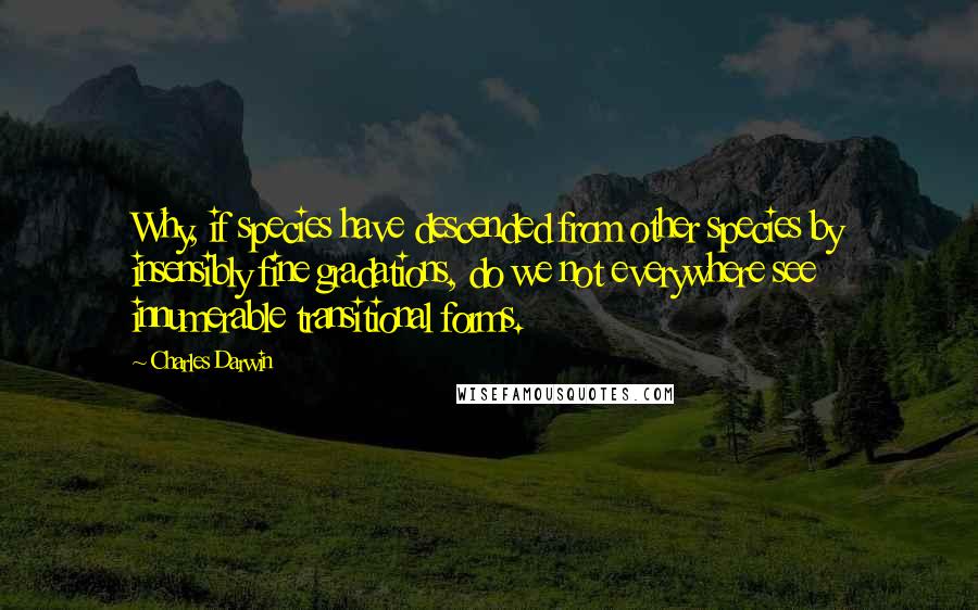 Charles Darwin quotes: Why, if species have descended from other species by insensibly fine gradations, do we not everywhere see innumerable transitional forms. Charles Darwin quotes: Why, if species have descended from other species by insensibly fine gradations, do we not everywhere see innumerable transitional forms.
