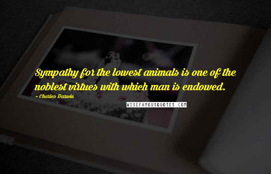 Charles Darwin quotes: Sympathy for the lowest animals is one of the noblest virtues with which man is endowed.