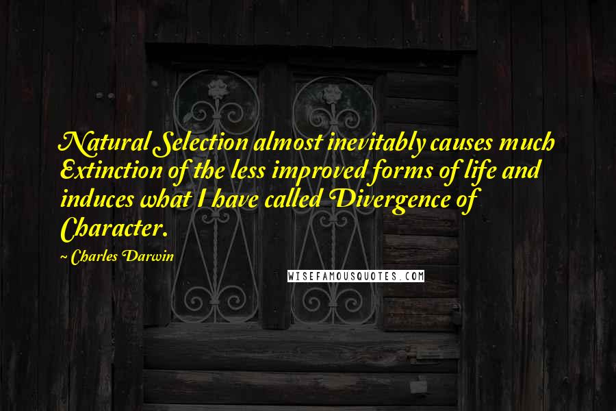 Charles Darwin quotes: Natural Selection almost inevitably causes much Extinction of the less improved forms of life and induces what I have called Divergence of Character. Charles Darwin quotes: Natural Selection almost inevitably causes much Extinction of the less improved forms of life and induces what I have called Divergence of Character.