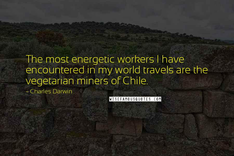 Charles Darwin quotes: The most energetic workers I have encountered in my world travels are the vegetarian miners of Chile. Charles Darwin quotes: The most energetic workers I have encountered in my world travels are the vegetarian miners of Chile.