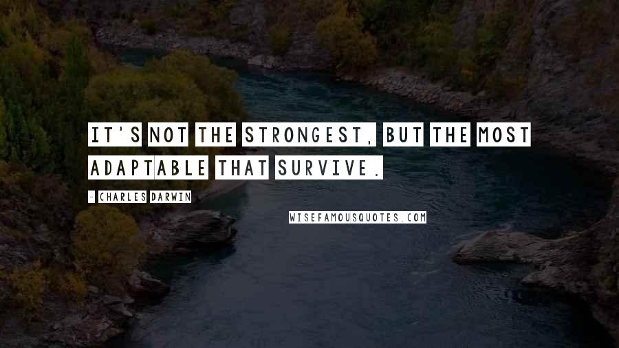 Charles Darwin quotes: It's not the strongest, but the most adaptable that survive.