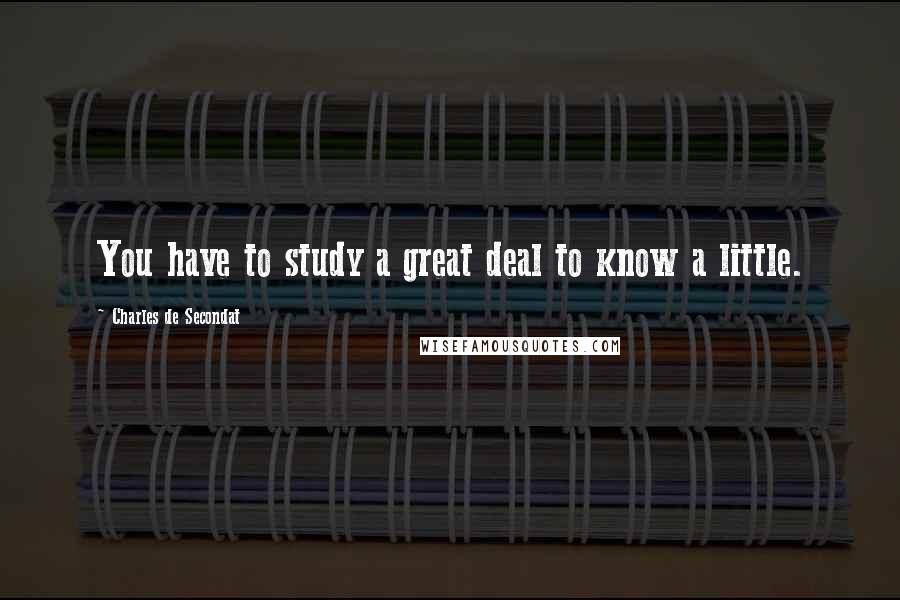 Charles De Secondat quotes: You have to study a great deal to know a little.