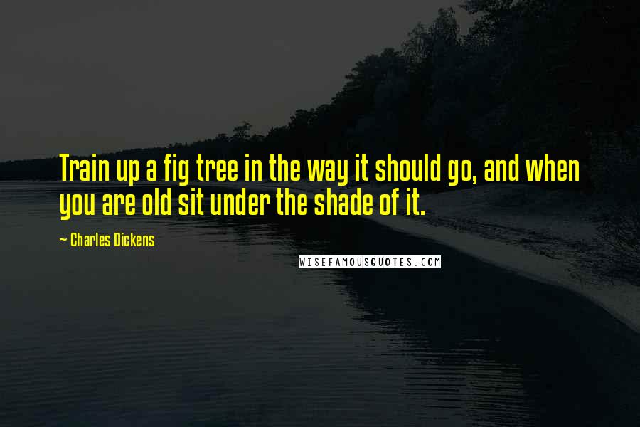 Charles Dickens quotes: Train up a fig tree in the way it should go, and when you are old sit under the shade of it.