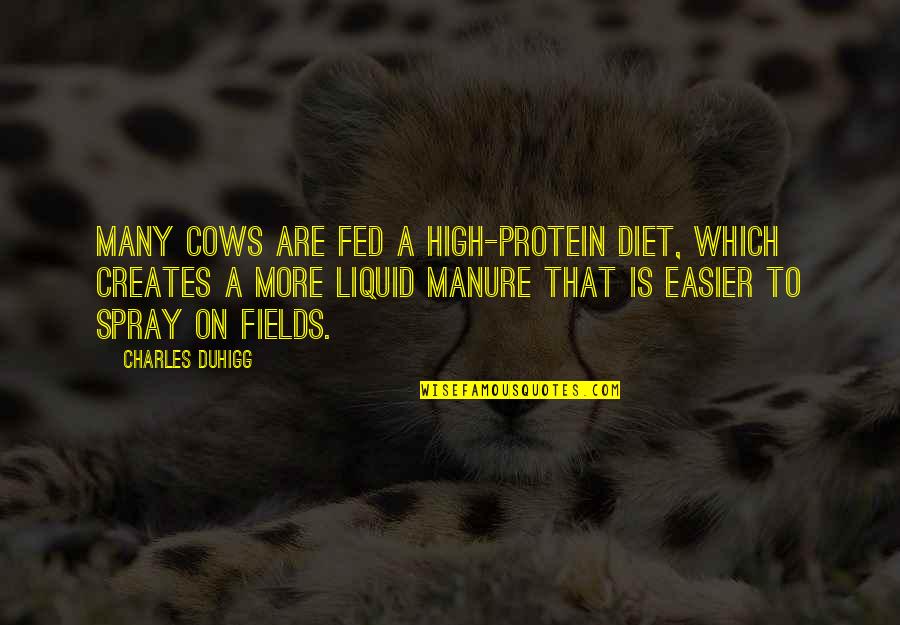 Charles Duhigg Quotes By Charles Duhigg: Many cows are fed a high-protein diet, which