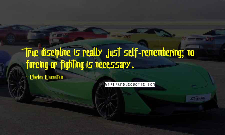 Charles Eisenstein quotes: True discipline is really just self-remembering; no forcing or fighting is necessary.