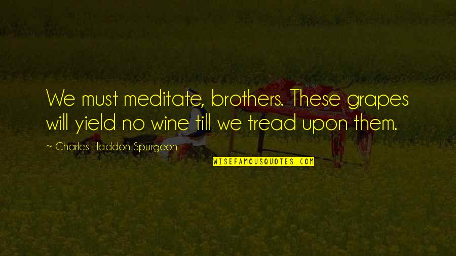 Charles Haddon Quotes By Charles Haddon Spurgeon: We must meditate, brothers. These grapes will yield