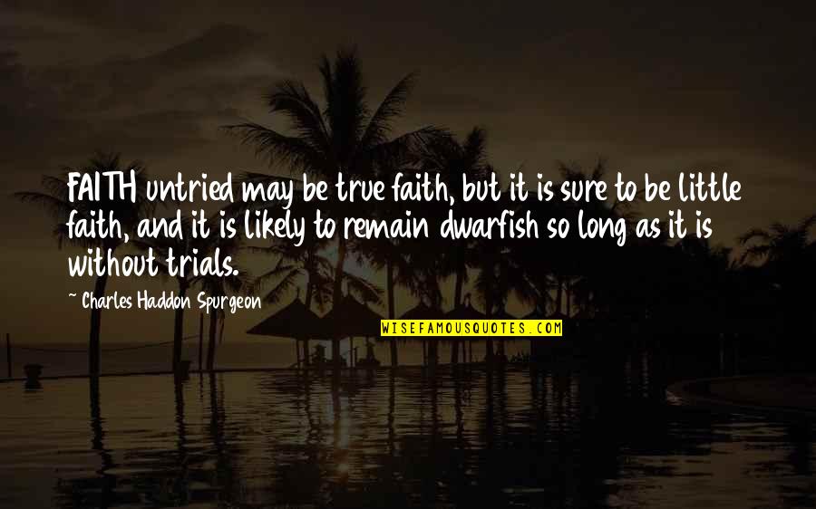 Charles Haddon Quotes By Charles Haddon Spurgeon: FAITH untried may be true faith, but it