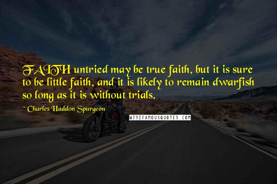 Charles Haddon Spurgeon quotes: FAITH untried may be true faith, but it is sure to be little faith, and it is likely to remain dwarfish so long as it is without trials.