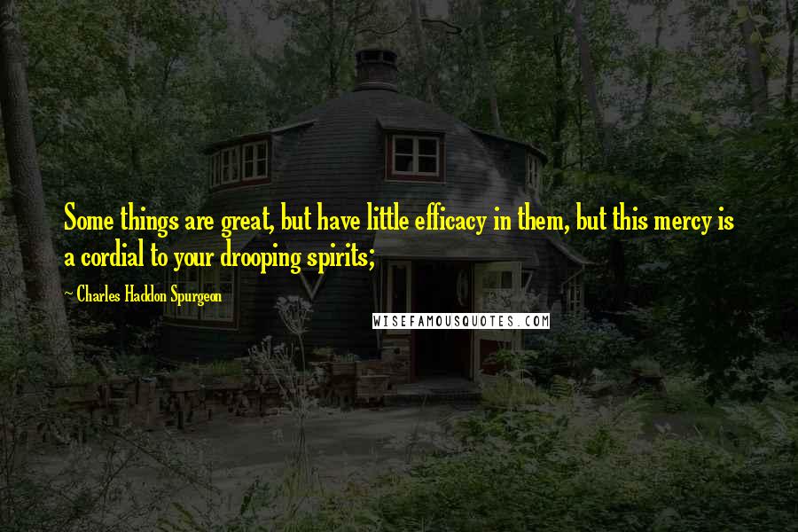 Charles Haddon Spurgeon quotes: Some things are great, but have little efficacy in them, but this mercy is a cordial to your drooping spirits;