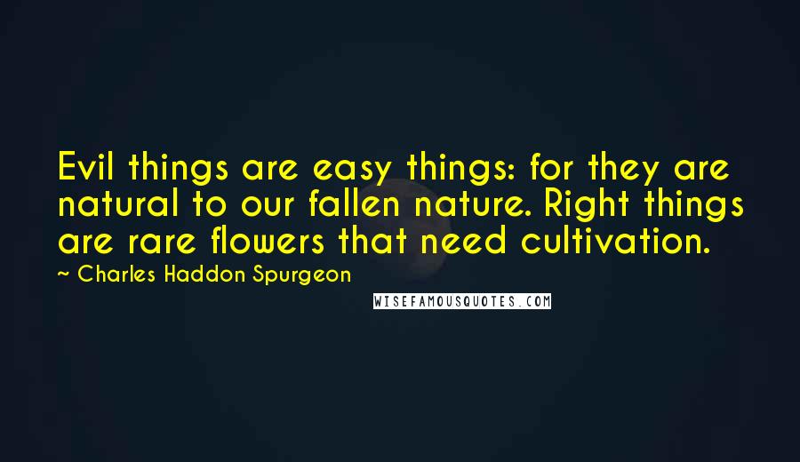 Charles Haddon Spurgeon quotes: Evil things are easy things: for they are natural to our fallen nature. Right things are rare flowers that need cultivation.