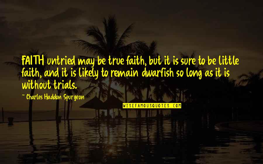 Charles Haddon Spurgeon Quotes By Charles Haddon Spurgeon: FAITH untried may be true faith, but it