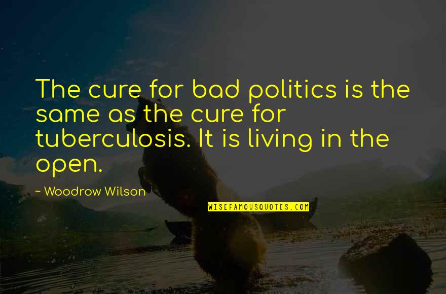 Charles Hathcock Quotes By Woodrow Wilson: The cure for bad politics is the same