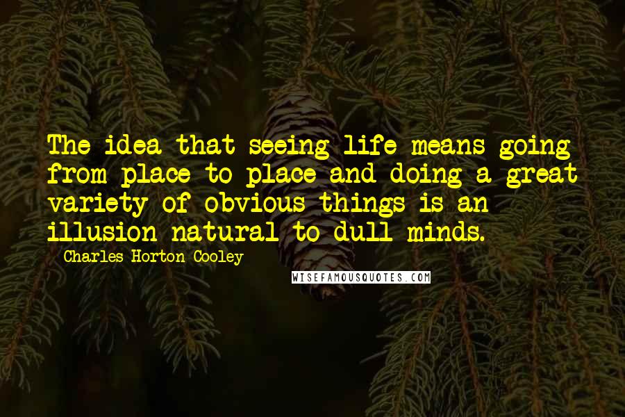 Charles Horton Cooley quotes: The idea that seeing life means going from place to place and doing a great variety of obvious things is an illusion natural to dull minds.