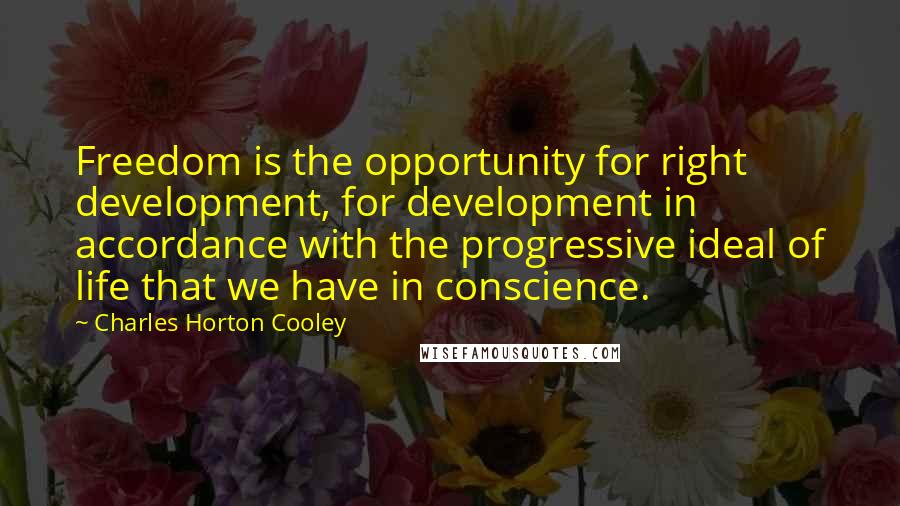 Charles Horton Cooley quotes: Freedom is the opportunity for right development, for development in accordance with the progressive ideal of life that we have in conscience.