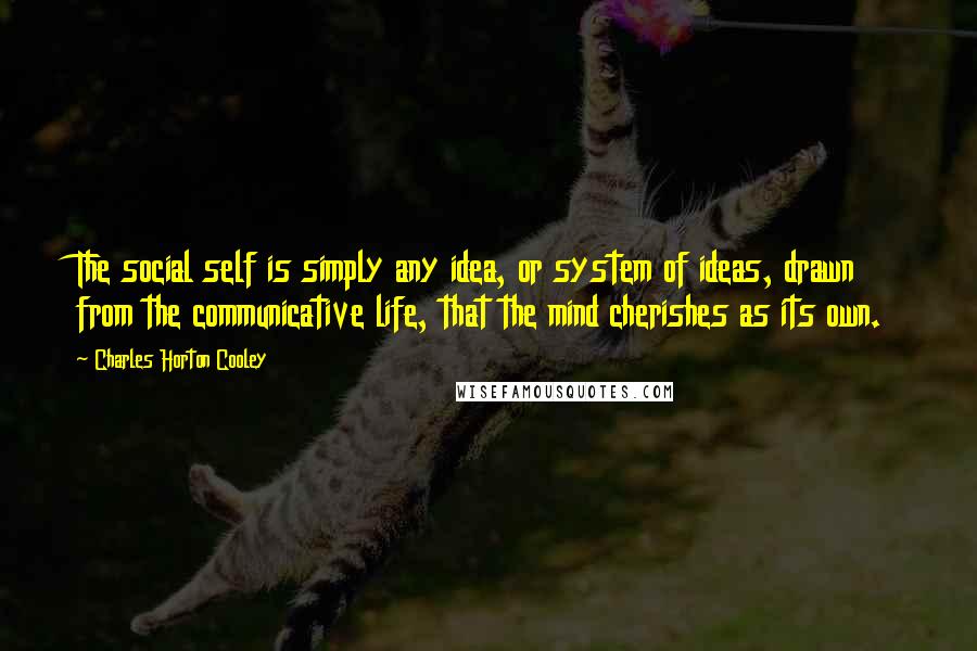 Charles Horton Cooley quotes: The social self is simply any idea, or system of ideas, drawn from the communicative life, that the mind cherishes as its own.