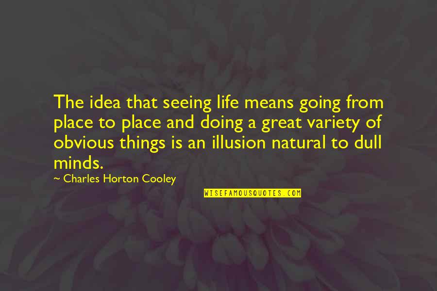 Charles Horton Cooley Quotes By Charles Horton Cooley: The idea that seeing life means going from