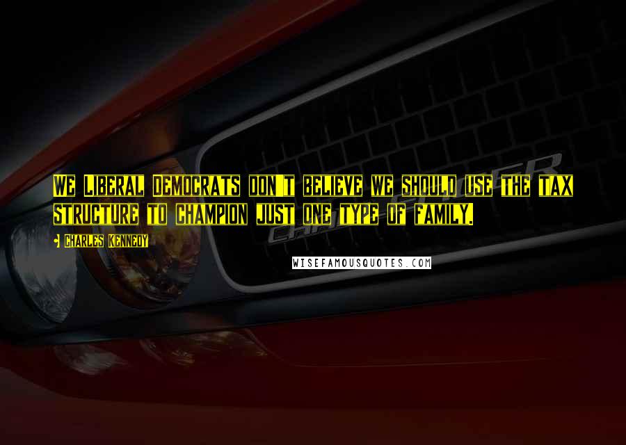 Charles Kennedy quotes: We Liberal Democrats don't believe we should use the tax structure to champion just one type of family.