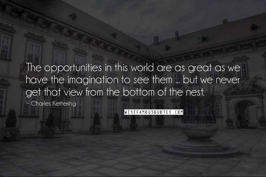 Charles Kettering quotes: The opportunities in this world are as great as we have the imagination to see them ... but we never get that view from the bottom of the nest.