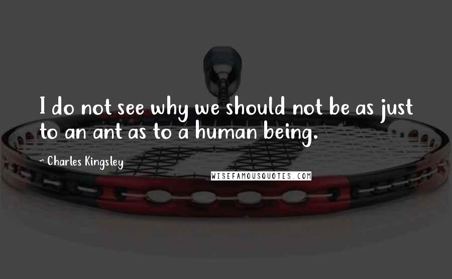 Charles Kingsley quotes: I do not see why we should not be as just to an ant as to a human being.