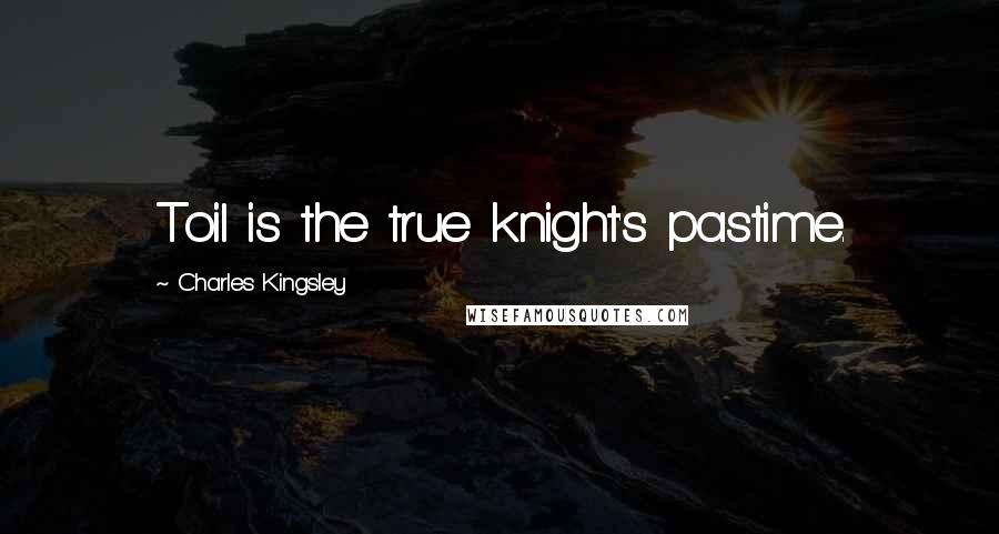 Charles Kingsley quotes: Toil is the true knight's pastime.