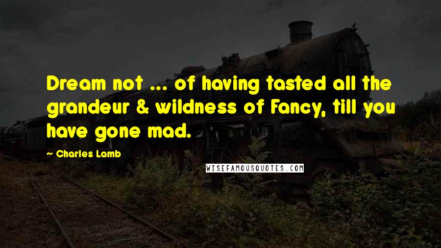 Charles Lamb quotes: Dream not ... of having tasted all the grandeur & wildness of Fancy, till you have gone mad. Charles Lamb quotes: Dream not ... of having tasted all the grandeur & wildness of Fancy, till you have gone mad.