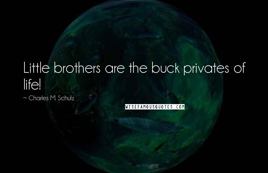Charles M. Schulz quotes: Little brothers are the buck privates of life!